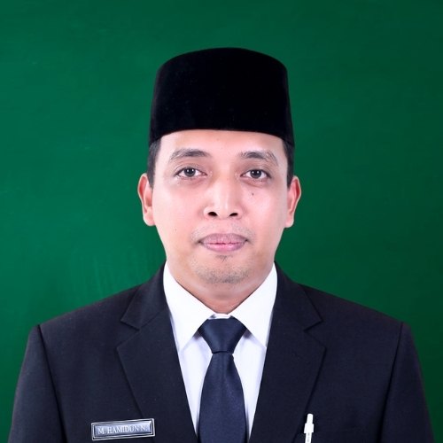 Muhammad Hamidun Nafie', S.Pd.